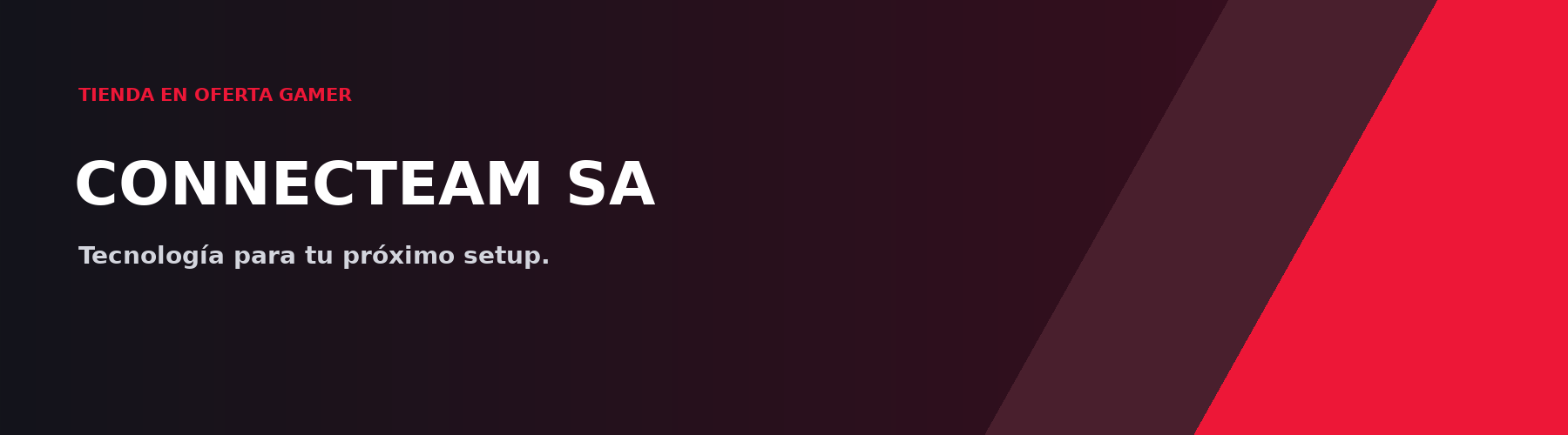 Portada de CONNECTEAM SA