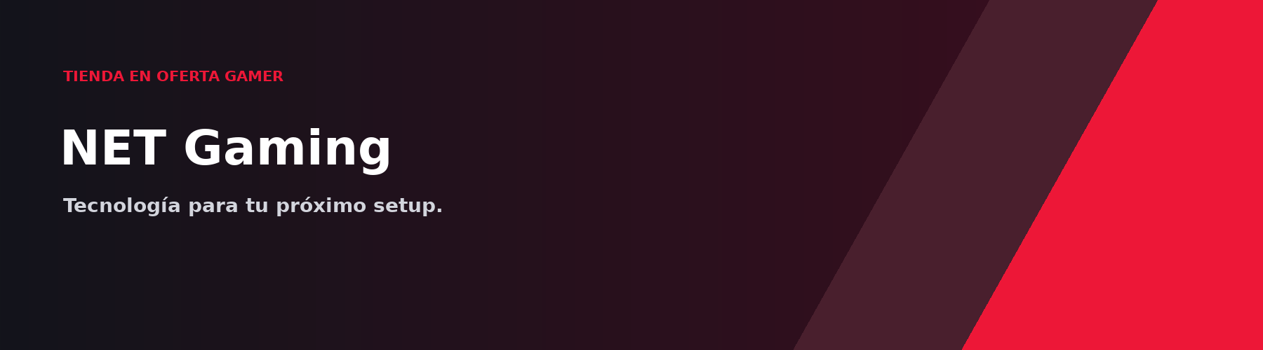 Portada de NET Gaming