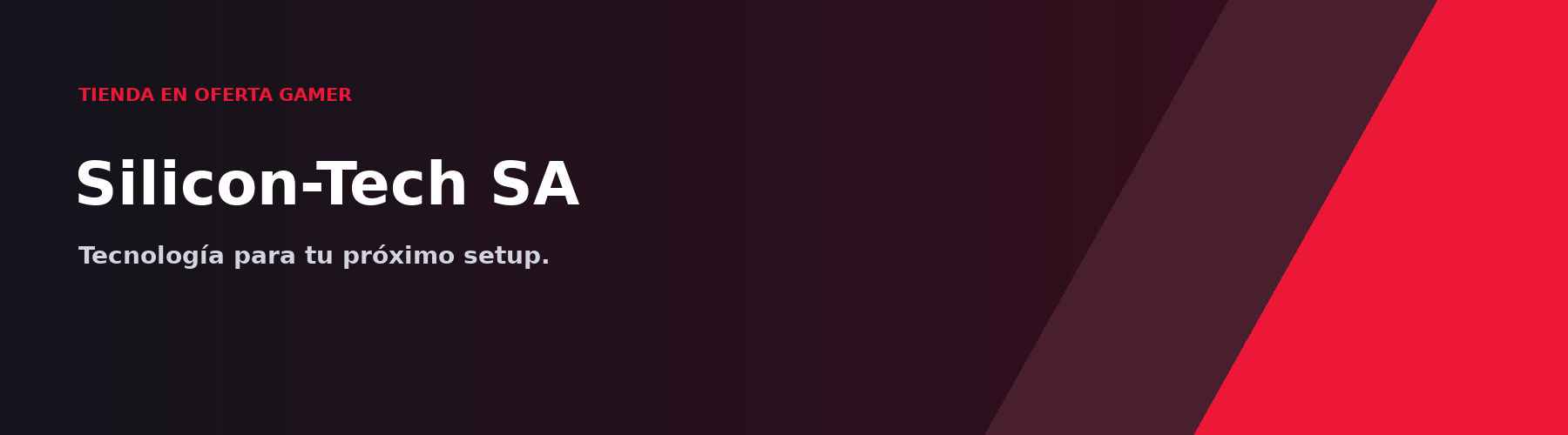 Portada de Silicon-Tech SA